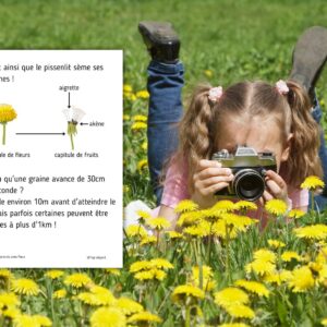 Dossier Pissenlit : 40 pages d’activités pédagogiques (GS, CP, CE1) à imprimer