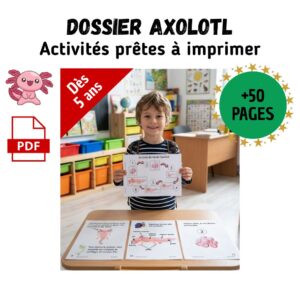 Dossier Axolotl : +50 pages d’activités pédagogiques (GS, CP, CE1) à imprimer