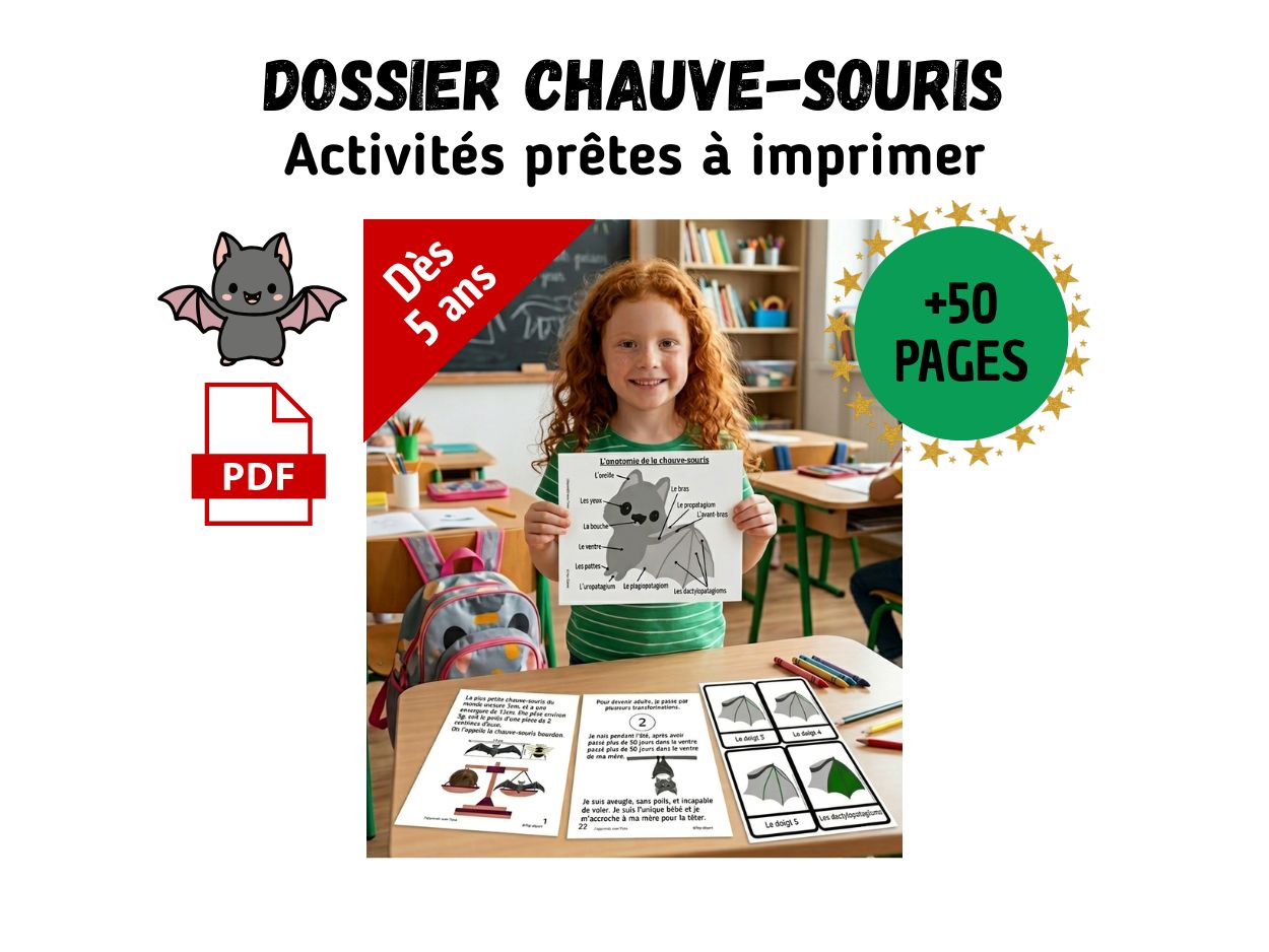 Enfant dans une salle de classe tenant une fiche d'anatomie de la chauve-souris issue d'un kit pédagogique de 50 pages.