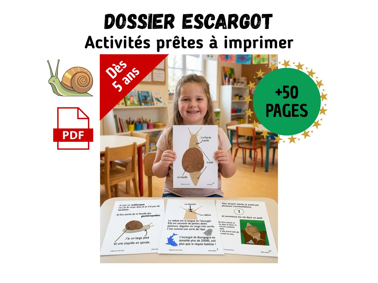Enfant présentant des fiches d'activités sur l'escargot : anatomie, cycle de vie et vocabulaire pour les 5-8 ans.
