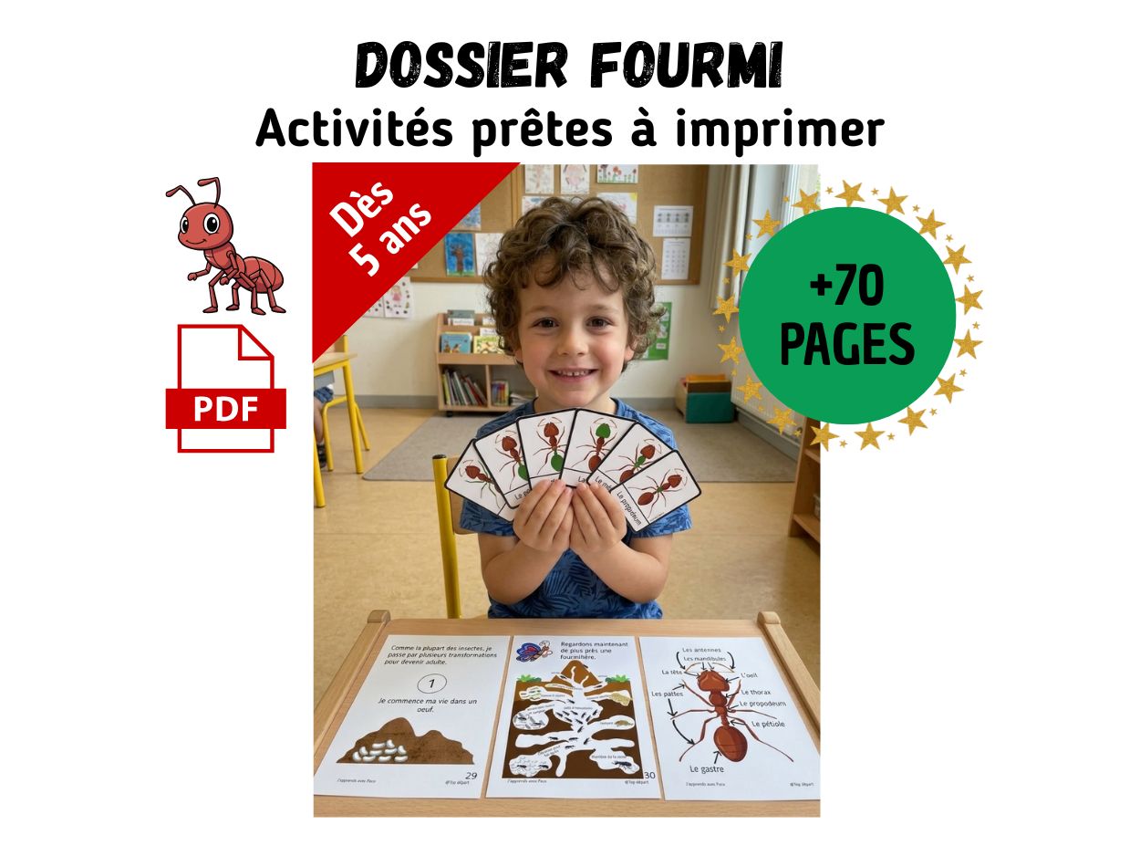 Enfant souriant présentant des cartes de nomenclature sur l'anatomie de la fourmi, issu d'un dossier pédagogique de 70 pages.