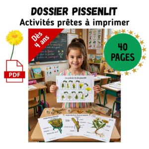 Dossier Pissenlit : 40 pages d’activités pédagogiques (GS, CP, CE1) à imprimer