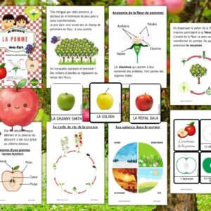 Cycle de vie de la Pomme : Pack Pédagogique (GS-CP-CE1) | 150 Pages PDF