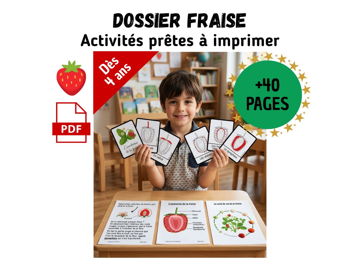 Affiche promotionnelle pour un dossier PDF de plus de 40 pages d'activités sur la fraise pour les enfants dès 4 ans.