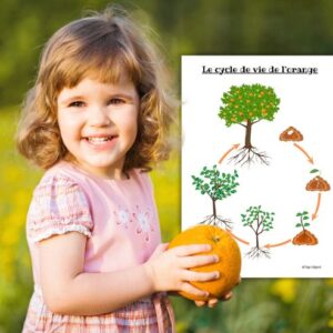 Dossier Orange : +80 pages d’activités pédagogiques (GS, CP, CE1) à imprimer