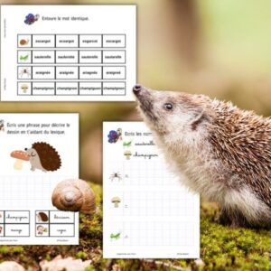 Cycle de vie du Hérisson : Pack Pédagogique (GS-CP-CE1) | 119 Pages PDF