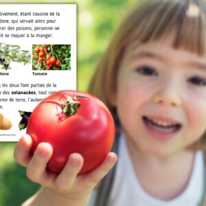 Dossier Tomate : +50 pages d’activités pédagogiques (GS, CP, CE1) à imprimer