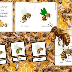 Dossier Abeille : +50 pages d’activités pédagogiques (GS, CP, CE1) à imprimer