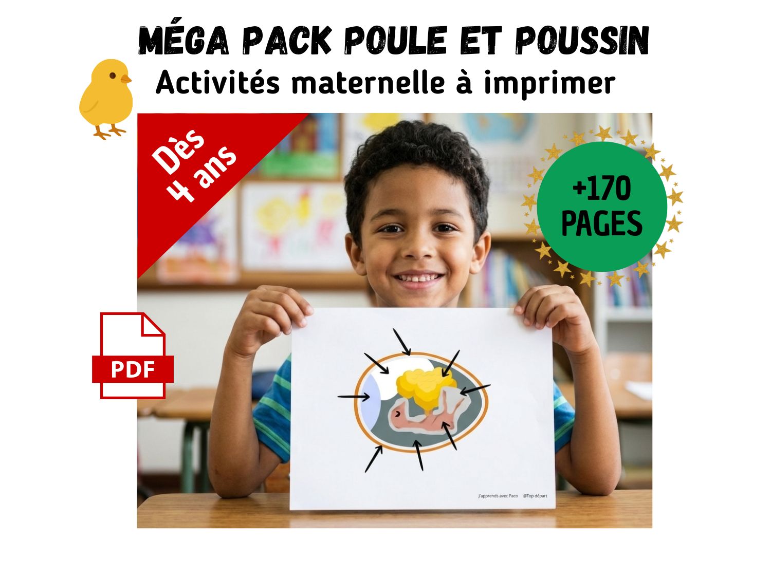 Affiche de couverture pour un pack d'activités pédagogiques PDF sur le thème de la poule et du poussin, montrant un enfant et des pages d'activités sur l'anatomie.