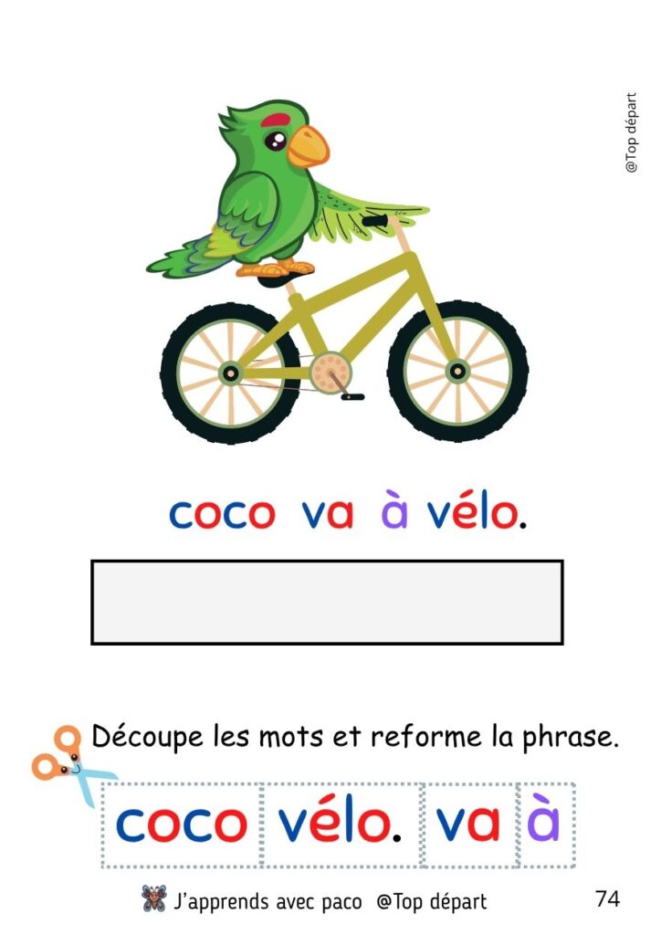 Fiche d'exercice de lecture pour CP montrant un perroquet sur un vélo avec une activité de découpage pour reformer la phrase "coco va à vélo".