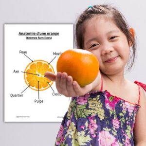 Dossier Orange : +80 pages d’activités pédagogiques (GS, CP, CE1) à imprimer