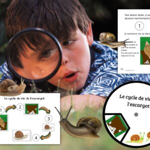 Cycle de vie de l&rsquo;Escargot : Pack Pédagogique (GS-CP-CE1) | 160 Pages PDF