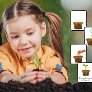 Dossier Haricot : +50 pages d’activités pédagogiques (GS, CP, CE1) à imprimer