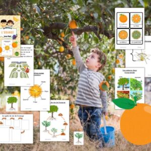 Cycle de vie de l&rsquo;Orange : Pack Pédagogique (GS-CP-CE1) | +160 Pages PDF
