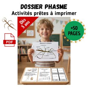 Dossier Phasme : +50 pages d’activités pédagogiques (GS, CP, CE1) à imprimer