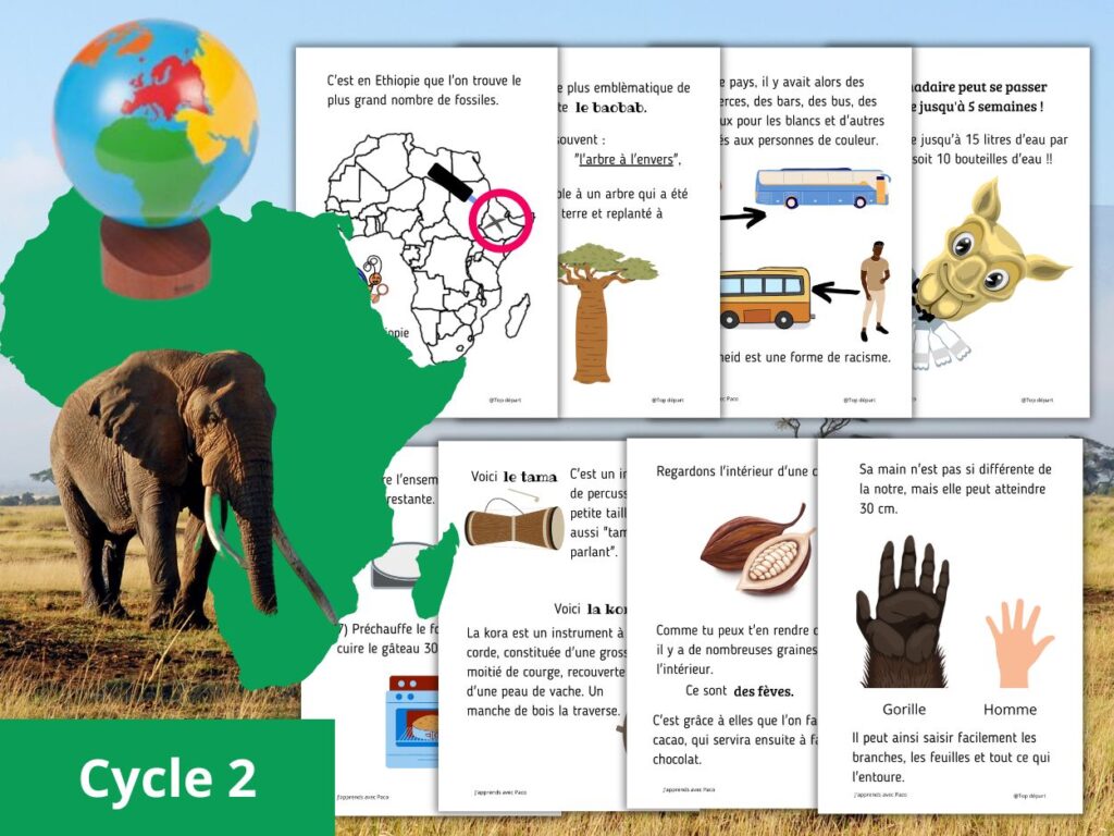 Exemple de supports pédagogiques sur l'Afrique pour le cycle 2, incluant des fiches documentaires sur la faune, la culture et la géographie.