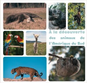 Collage photo d'animaux sauvages d'Amérique du Sud