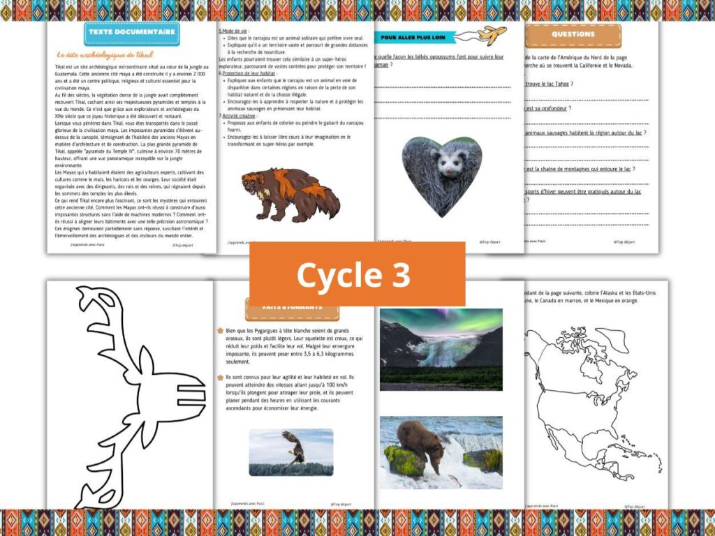 Aperçu de fiches documentaires sur l'Amérique du nord et la faune pour le cycle 3.