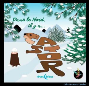 Couverture du livre illustré Dans le Nord pour enfants