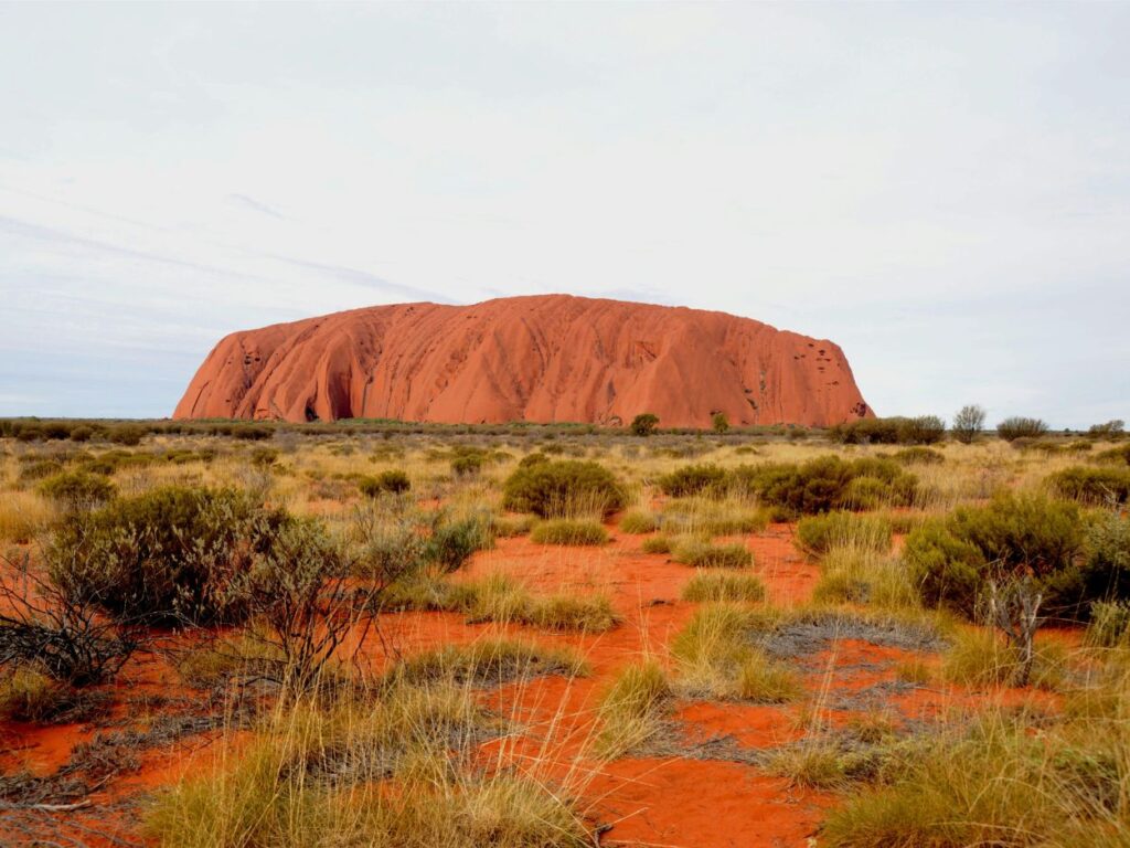 Vue impressionnante du rocher Uluru (Ayers Rock) au cœur du désert australien sous un ciel clair.