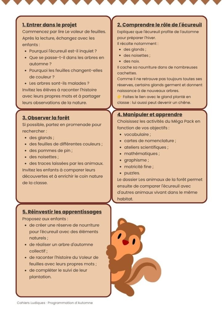 Activités pédagogiques sur l'écureuil et la forêt d'automne : lecture, observation, manipulation et apprentissages en maternelle
