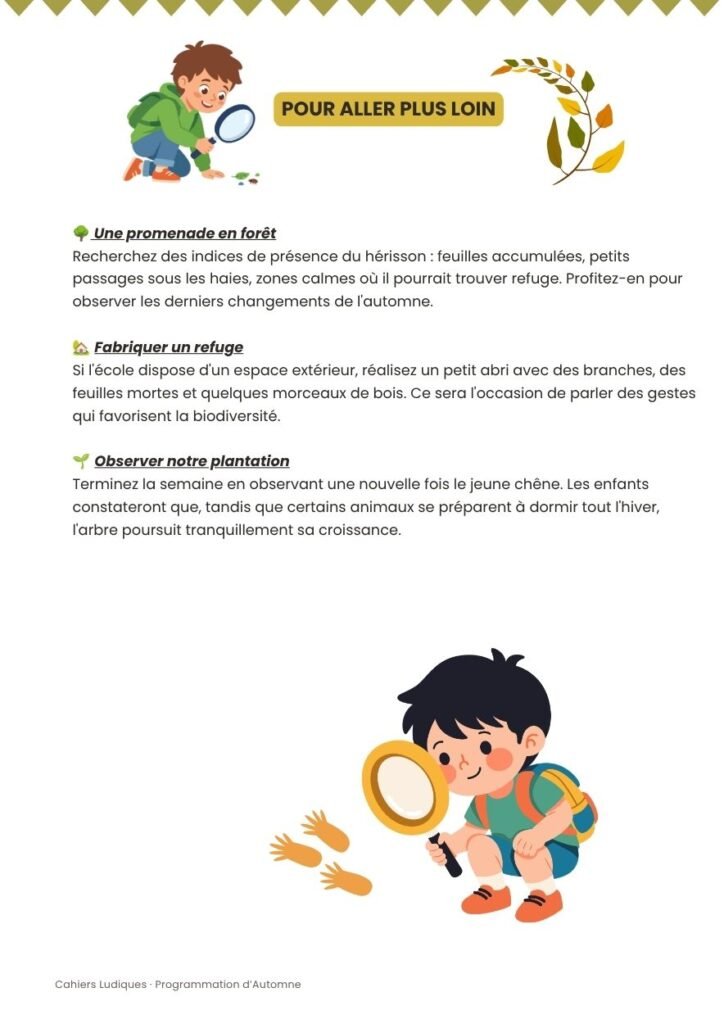 Activités nature pour observer la forêt en automne : promenade, refuge pour les animaux et suivi d'une plantation