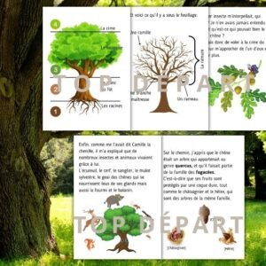 Cycle de vie du chêne : Pack Pédagogique (GS-CP-CE1) | 161 Pages PDF