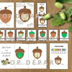 Cycle de vie du chêne : Pack Pédagogique (GS-CP-CE1) | 161 Pages PDF