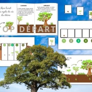 Cycle de vie du chêne : Pack Pédagogique (GS-CP-CE1) | 161 Pages PDF