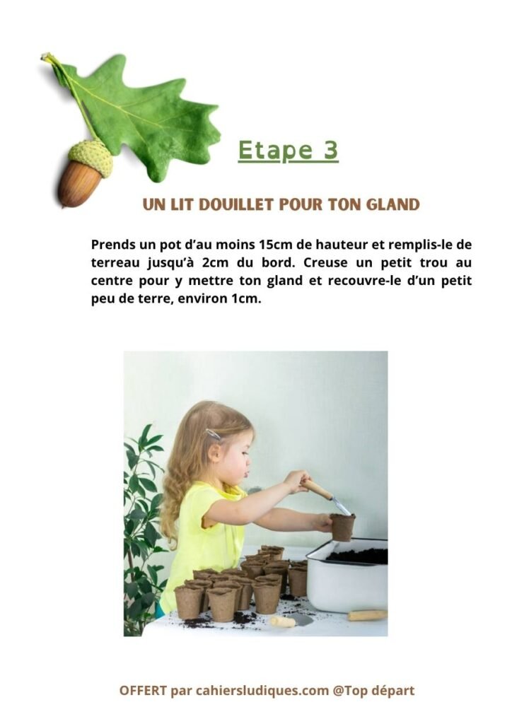Enfant plantant un gland dans un pot pour faire pousser un chêne, activité de découverte de la nature en maternelle