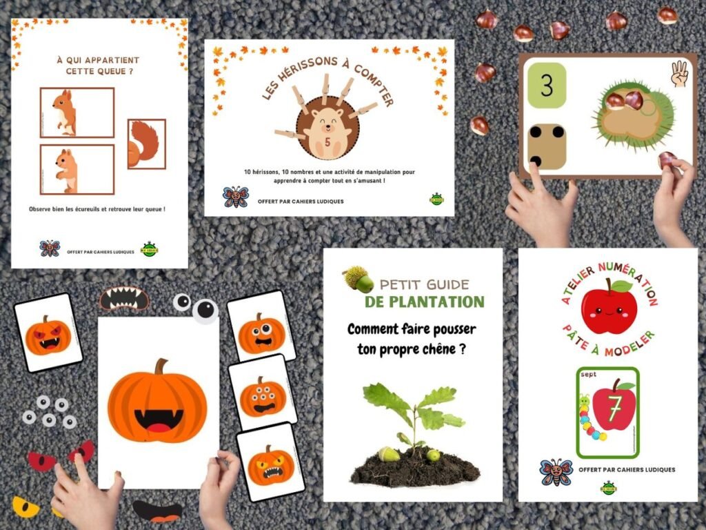 Ressources pédagogiques gratuites pour accompagner une programmation d'automne en maternelle : activités sur l'écureuil, le hérisson, la pomme, le chêne et la citrouille