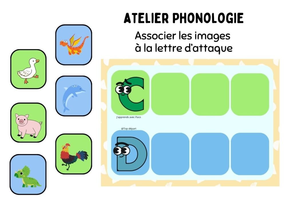 Fiche d'exercice de phonologie pour maternelle où l'enfant doit associer des illustrations (dragon, canard, dauphin, cochon, coq, dinosaure) aux lettres d'attaque C et D. Le plateau de jeu comprend des cases de couleur verte et bleue.