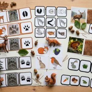 Animaux de la forêt en maternelle – Projet pédagogique clé en main | Album, activités, manipulations et audio