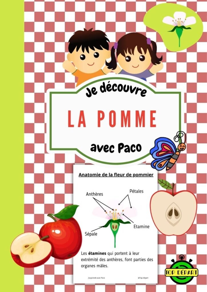 Couverture du dossier d'activités « Je découvre la pomme avec Paco » illustrant l'anatomie de la fleur de pommier.