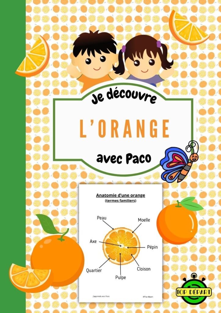Visuel du dossier d'activités « Je découvre l'orange avec Paco » montrant la fiche d'anatomie de l'orange.