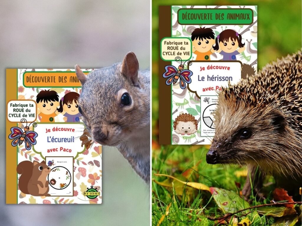 Présentation des fiches pédagogiques sur le cycle de vie de l'écureuil et du hérisson de la collection Je découvre avec Paco pour la maternelle.