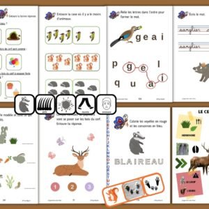 Animaux de la forêt en maternelle – Projet pédagogique clé en main | Album, activités, manipulations et audio