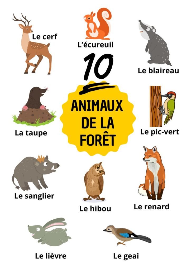 Planche illustrée présentant 10 animaux de la forêt : cerf, écureuil, blaireau, taupe, pic-vert, sanglier, hibou, renard, lièvre et geai.