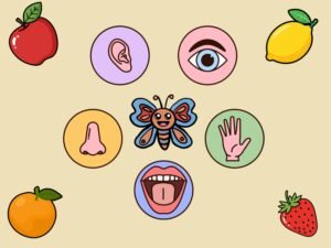 Lire la suite à propos de l’article Semaine du goût en maternelle : 15 activités autour des aliments et des 5 sens 